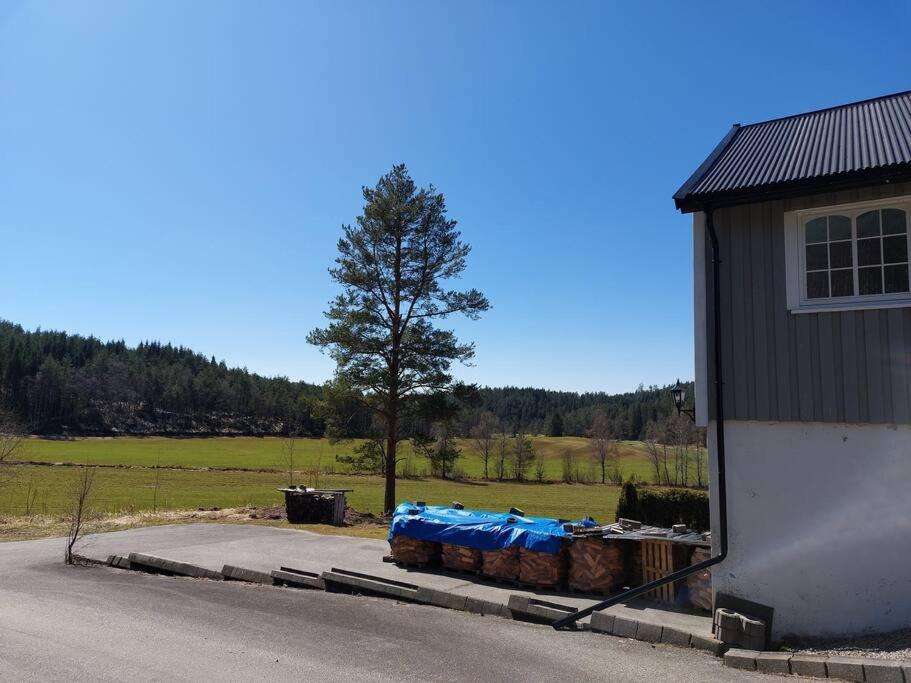 Huset Alcamaro * Haegeland